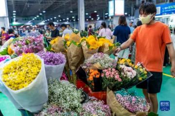 昆明斗南花市繁荣“夜经济”